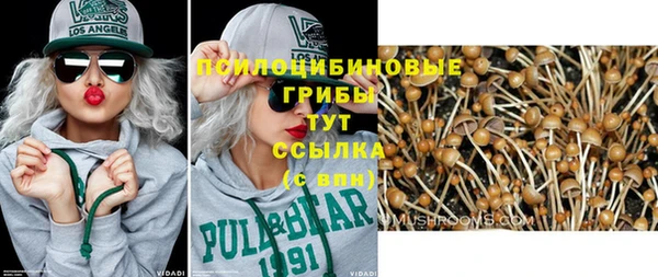 гидропоника Белоозёрский