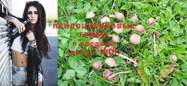 гидропоника Белоозёрский