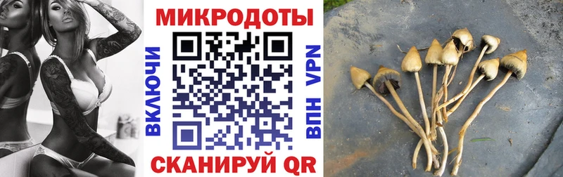 Псилоцибиновые грибы Psilocybine cubensis  цены   гидра   Абакан 